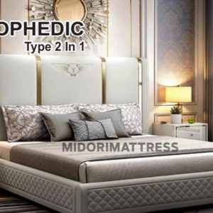 Ortophedic Type 2 in 1