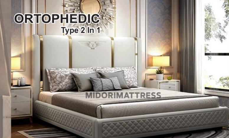 Ortophedic Type 2 in 1